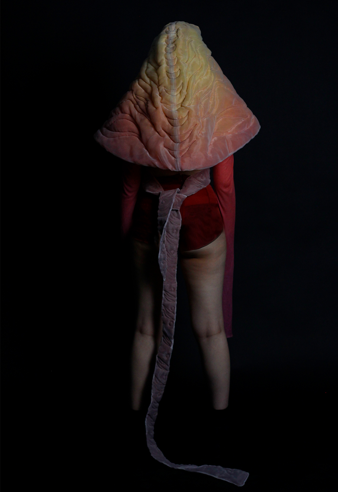 The model presents a back view of the embroidered cape, the top with extended sleeves, and the silk shorts.